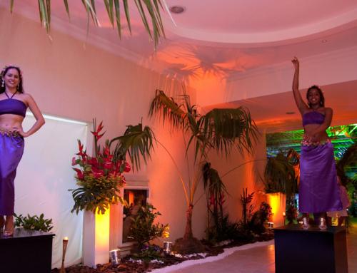 Festa temática Havaiana